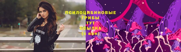 jwh Новозыбков