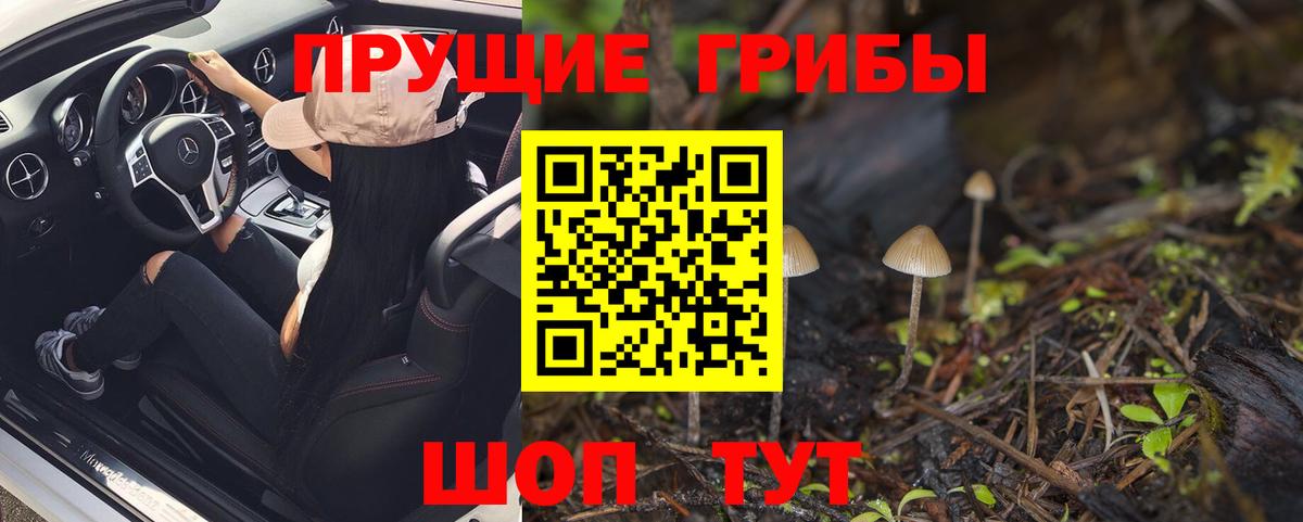 наркотики  Галлюциногенные грибы мицелий  Галлюциногенные грибы GOLDEN TEACHER  Вход с VPN  Кострома 
